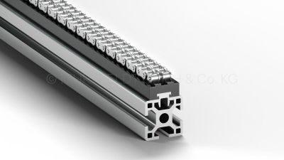 Rollenkettenführung Typ T-Duplex Snap-Trick